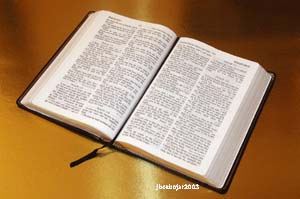 cabajarwsbible.jpg
