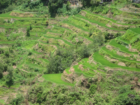 banawe_rice_terraces2010.jpg